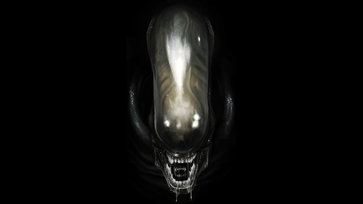 aliens, Xenomorph, Artwork Wallpapers HD \/ Desktop and Mobile Backgrounds