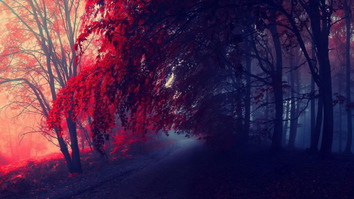 Aesthetic Autumn Wallpapers