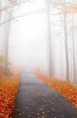 Autumn Aesthetic iPhone Wallpapers