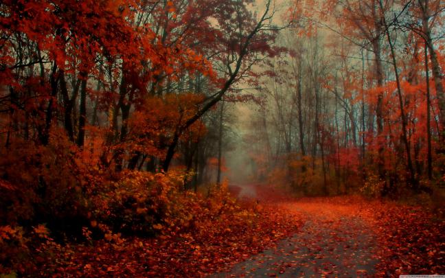 Morning Aesthetic Desktop Wallpapers - Top Free Morning Aesthetic 