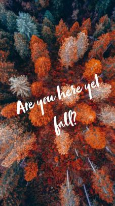 Autumn Aesthetic Wallpapers