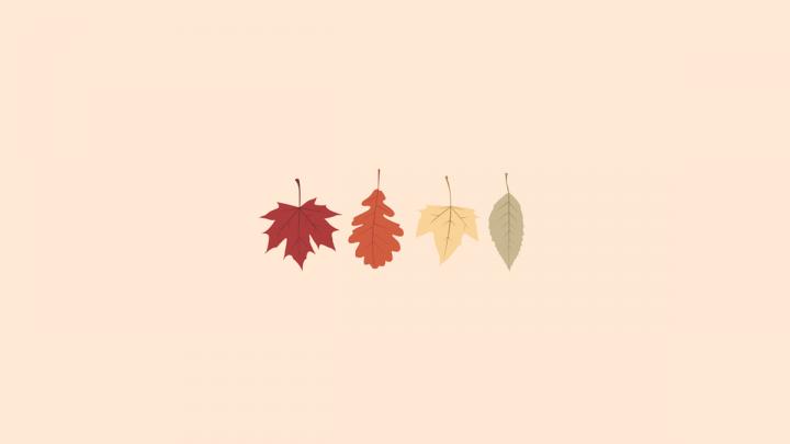 Autumn Aesthetic Wallpapers