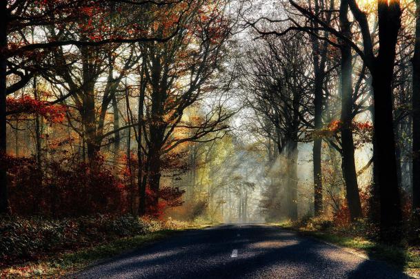 Aesthetic Autumn Wallpapers