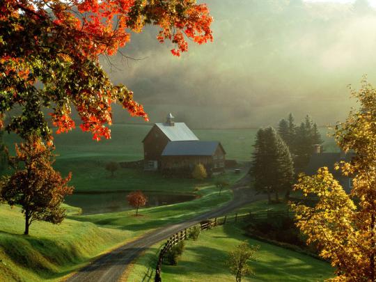 Free download Wallpapers Cool Nature Wallpaper Backgrounds Wallpaper 