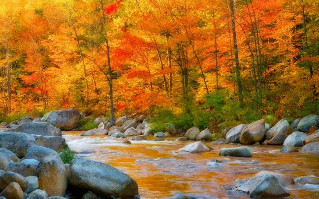 Free download autumn desktop wallpapers backgrounds SF Wallpaper 