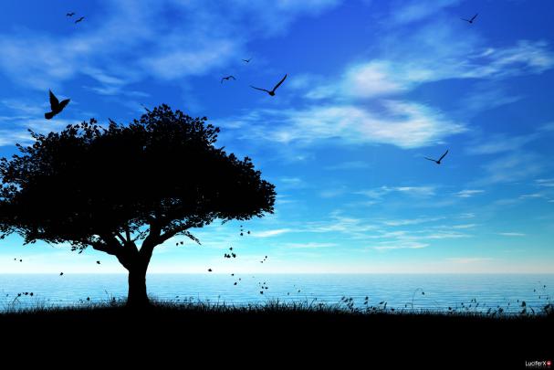 Nice Desktop Wallpapers - Top Free Nice Desktop Backgrounds 