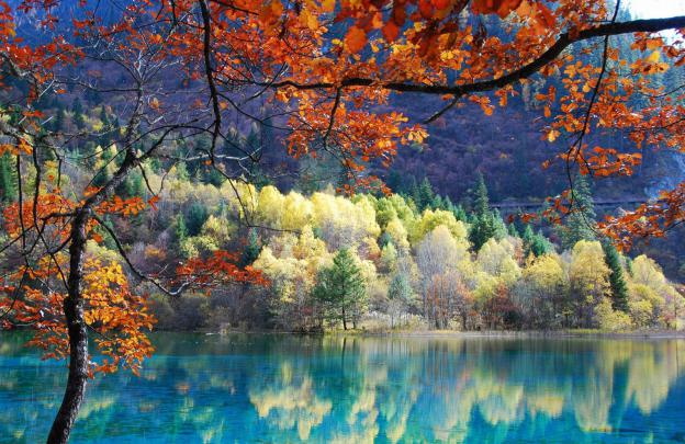 Free download Full Hd Beautiful Nature Desktop Wallpapers And 