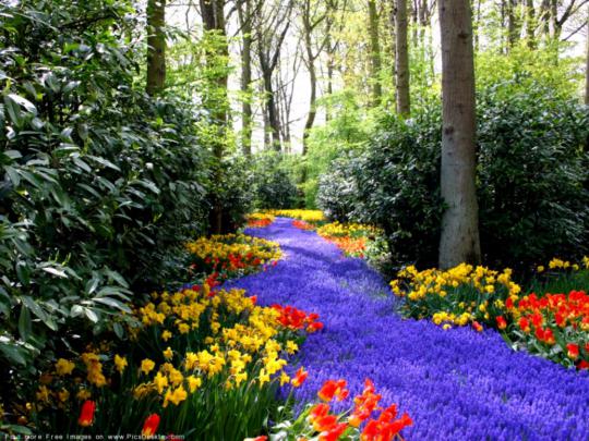 Download Free Computer Wallpaper Spring Scenes