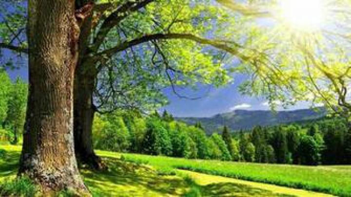 Free download Beautiful Desktop Wallpaper 4k Hd Wallpapers backgrounds 