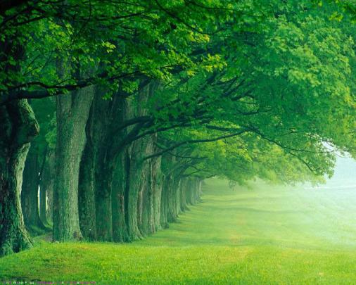 Free download Backgrounds Wallpapers Beautiful Nature Backgrounds 