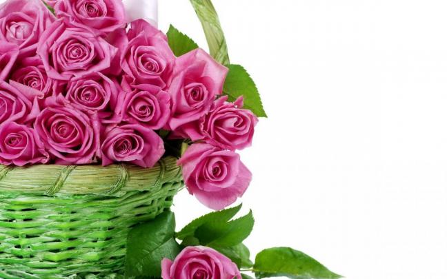 Free download computer wallpapers of FlowersHigh Quality Resolution 