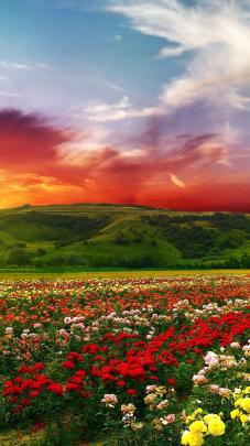 Beautiful 4K Wallpapers -