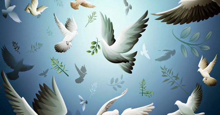 ALL WALLPAPER: Animated Wallpapers 2020 | Free HD Animated Pictures