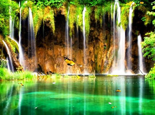 ALL WALLPAPER: Animated Wallpapers 2020 | Free HD Animated Pictures
