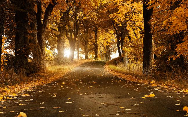 [77+] Free Autumn Desktop Backgrounds 