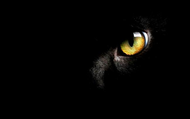 Black Eye Wallpaper 4K \/ Black wallpapers, backgrounds, images 