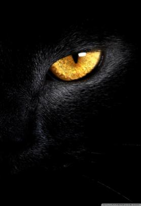 Black Eye Wallpaper 4K \/ Black wallpapers, backgrounds, images 