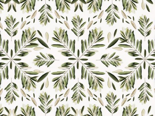Botanical Desktop Wallpapers - Top Free Botanical Desktop Backgrounds 