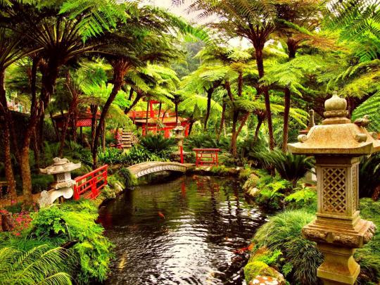 Botanical Garden Ultra HD Wallpapers