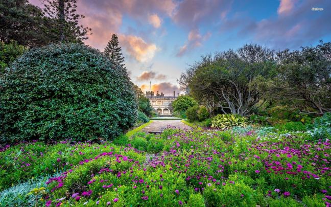 Botanical Garden Ultra HD Wallpapers