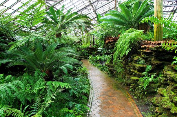 botanical, Garden, Plants, Trees Wallpapers HD \/ Desktop and Mobile 
