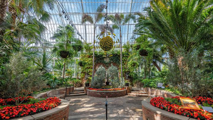 Desktop Wallpapers | Phipps Conservatory and Botanical Gardens 