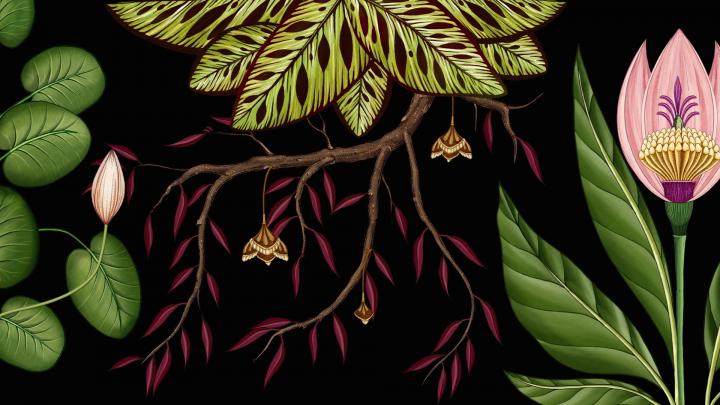 Subtle Sense - The Animated Wallpaper Installation Publicis Botanical
