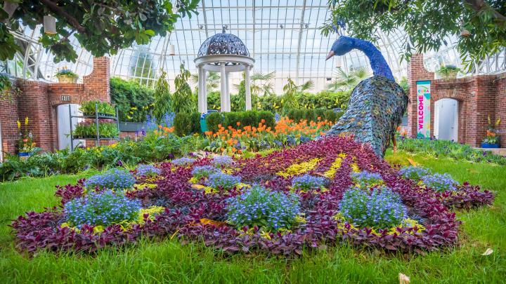 Desktop Wallpapers | Phipps Conservatory and Botanical Gardens 
