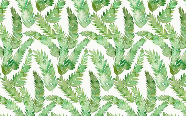Best 47+ Botanical Desktop Backgrounds on HipWallpaper | Botanical 