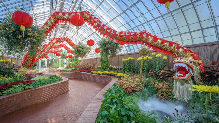 Desktop Wallpapers | Phipps Conservatory and Botanical Gardens 