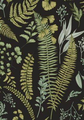 Vintage Fern Wallpapers