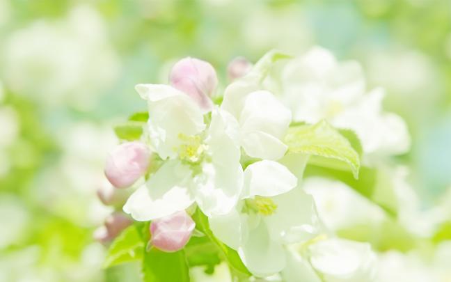 Bright Desktop Wallpapers (78+ images)