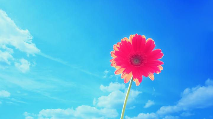 HD Bright Wallpaper Download