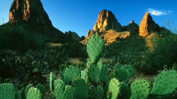 mountains, Landscapes, Rocks, Cactus Wallpapers HD \/ Desktop and Mobile 
