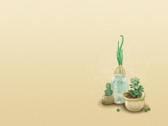 Cactus HD Wallpaper