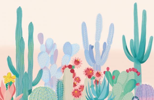 Aesthetic Cactus Profile Pic Wallpapers