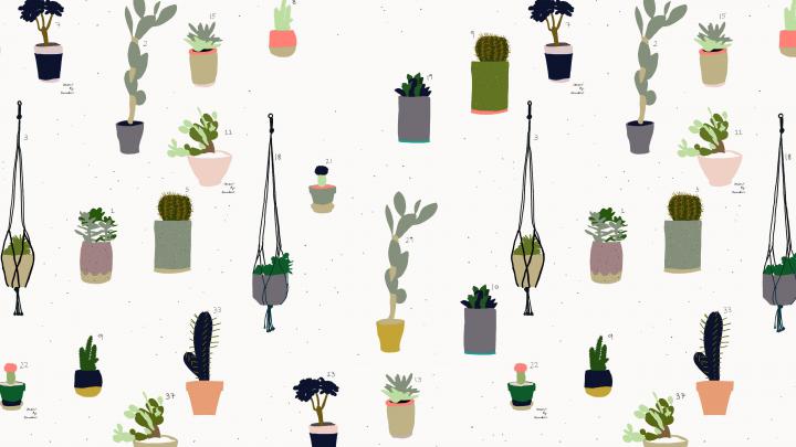 Kawaii Cactus Desktop Wallpapers