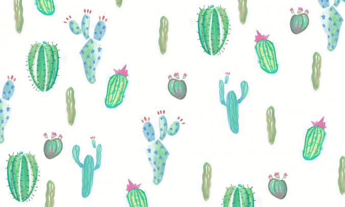 Cactus Desktop Wallpapers on WallpaperDog