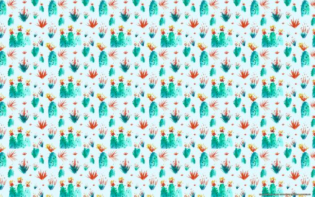 Cactus Wallpaper (52+ images)