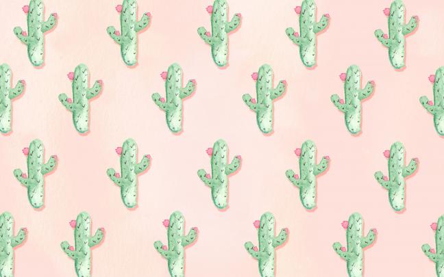 Aesthetic Cactus Wallpapers on WallpaperDog