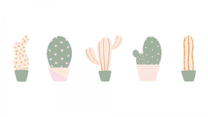 Cactus Summer Wallpapers