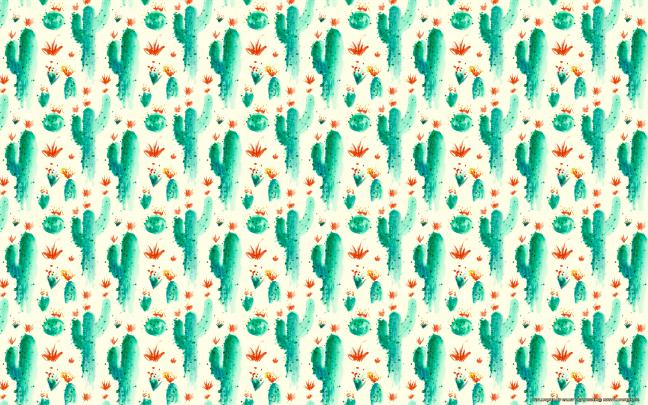 Cute Cactus Desktop Wallpapers - Top Free Cute Cactus Desktop 