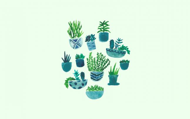 Desktop Aesthetic Wallpaper Cactus - 1856x1161 - Download HD Wallpaper 