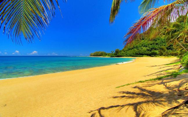 California Beach Wallpapers