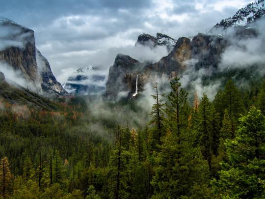 Yosemite Valley Morning Fog In Yosemite National Park California Usa 