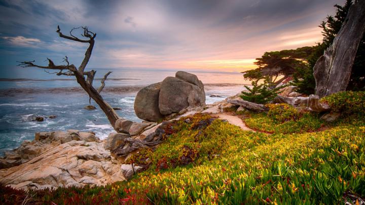 California Usa Coast Near The City Monterey 4k Ultra Hd Tv Wallpaper 