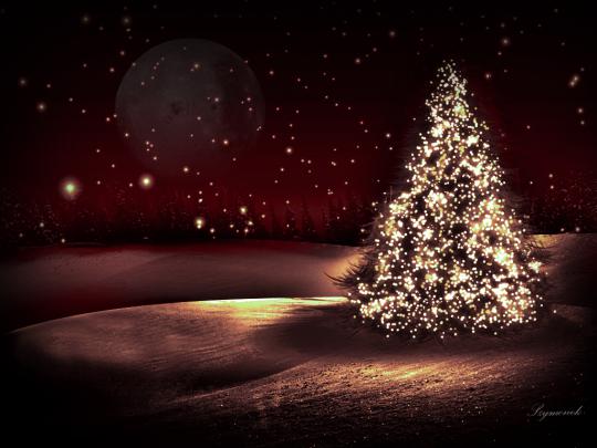 WongSeng HD Wallpapers: Christmas Tree Wallpaper