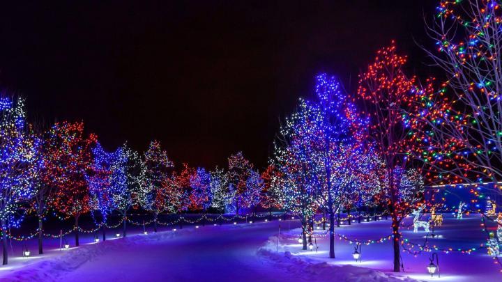 Christmas Light Snow Wallpapers