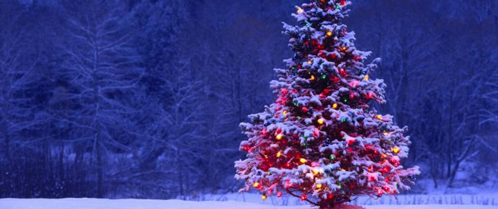 Download 2560x1080 Wallpaper Christmas Tree Lights Snow Forest Holiday 