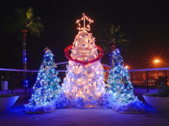 Beautiful Christmas Tree Lights Wallpaper HD Widescreen Desktop 